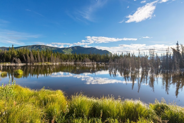 Lac de sérénité dans la toundra de l'Alaska