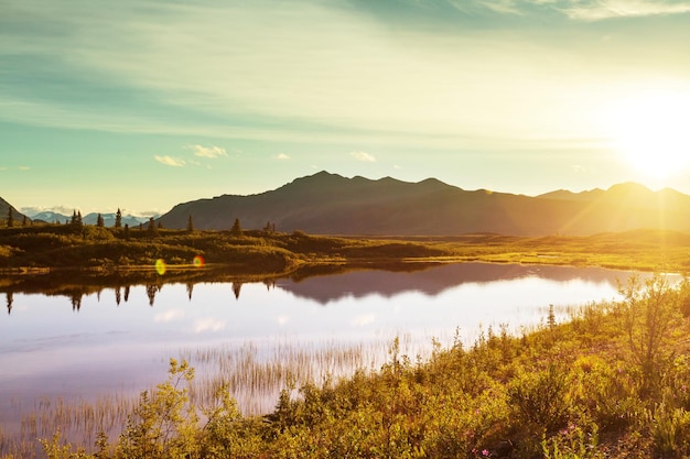 Lac de sérénité dans la toundra en Alaska