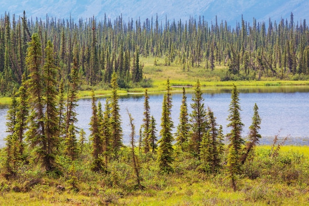 Lac de sérénité dans la toundra de l'Alaska