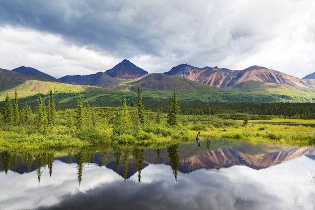 Lac de sérénité dans la toundra de l'Alaska