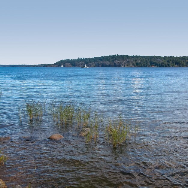 Lac à Stockholm