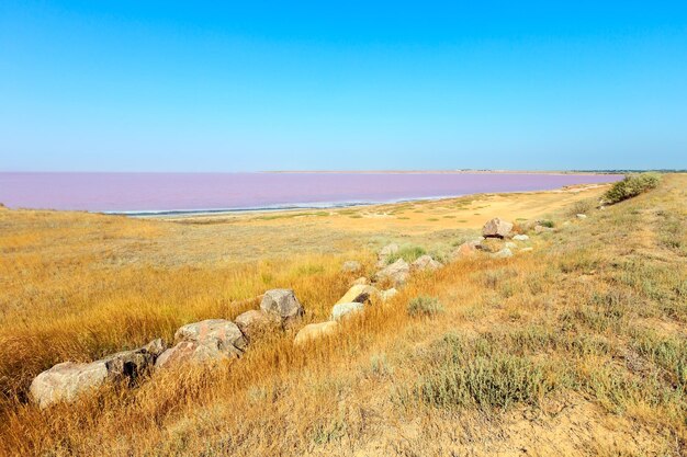 Photo lac syvash salé rose ukraine