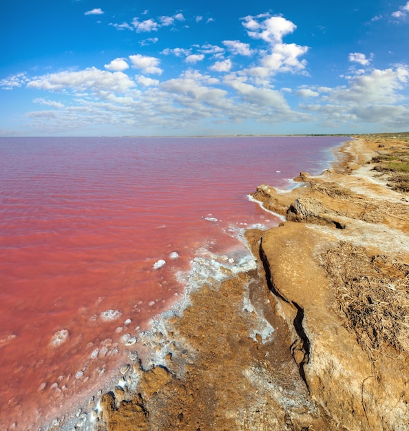 Lac Syvash salé rose Ukraine