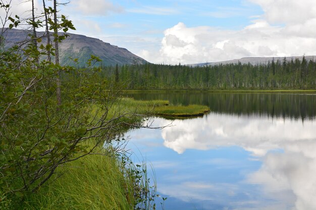 Lac de la taïga