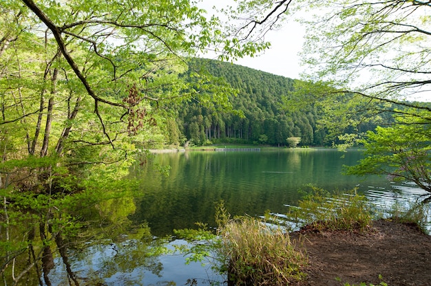 lac tanuki dans la ville de fujinomya japon parc national de fujihakoneizu