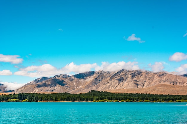 lac tekapo nouvelle-zélande