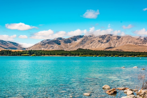 lac tekapo nouvelle-zélande