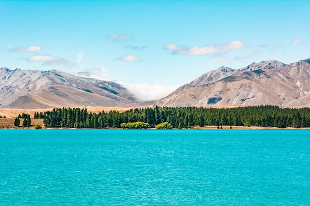 lac tekapo nouvelle-zélande