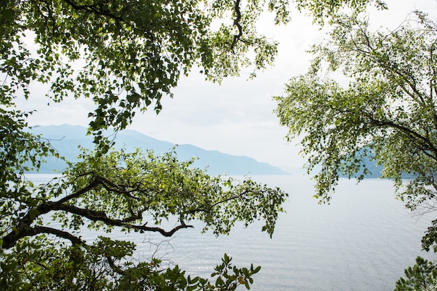 Photo lac teletskoye dans les montagnes de l'altaï