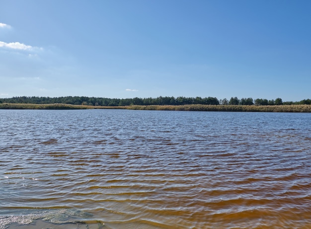 Lac thérapeutique avec de l'iode et des minéraux au milieu de la steppe sauvage