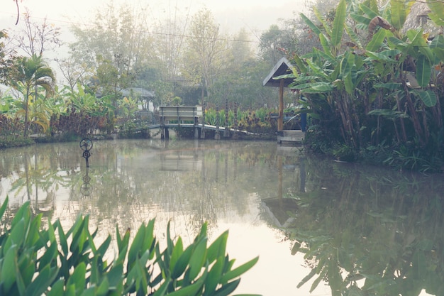 Lac tropical, scène de la nature