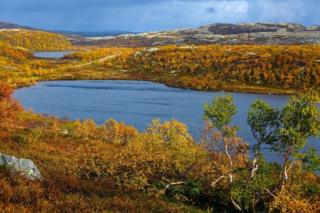 Lac avec végétation dans la toundra en automne. Péninsule de Kola, Russie.