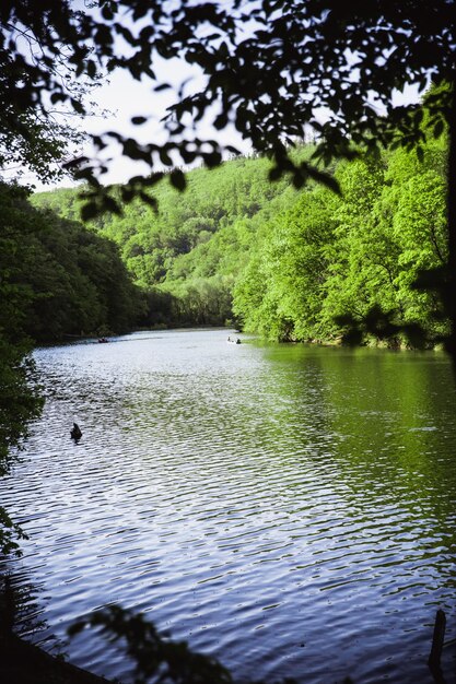 Photo le lac vert de hamori à lillafure près de miskolc hongrie spring lands