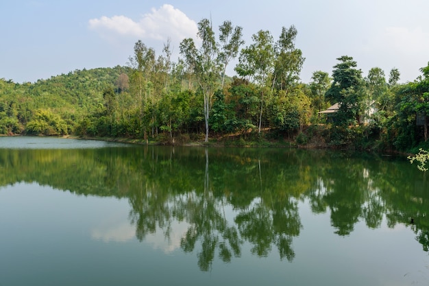 Lac vert avec une ombre de l&#39;arbre