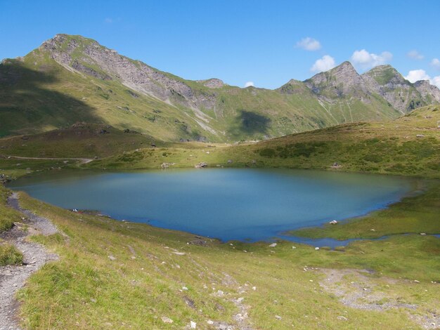 Lac vertcol des cheseryvaudswiss