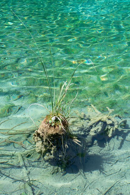 Lacs de Plitvice en Croatie beau paysage d'été avec de l'eau turquoise