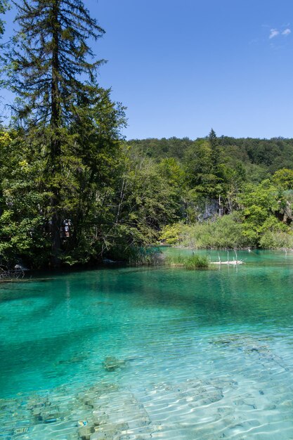 Lacs de Plitvice en Croatie beau paysage d'été avec de l'eau turquoise