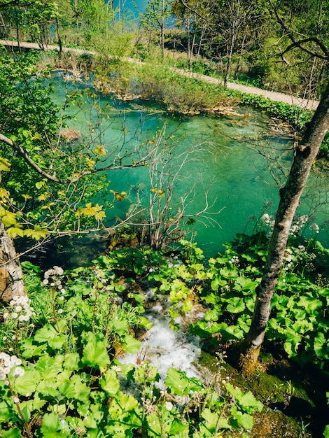 Lacs de plitvice croatie le territoire du parc national