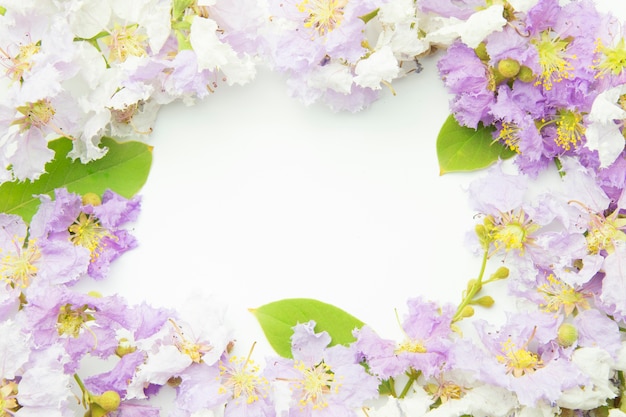 Lagerstroemia violet Floral Isolé sur fond blanc. Cadre de bordure de fleurs violettes.