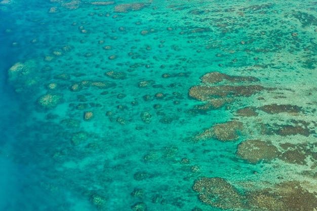 Lagon tropical de l'île d'Ishigaki