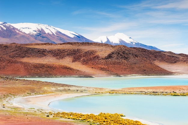 Lagon et volcans de haute altitude sur le plateau Altiplano, Bolivie