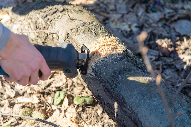 Élaguer des arbres avec une scie électrique