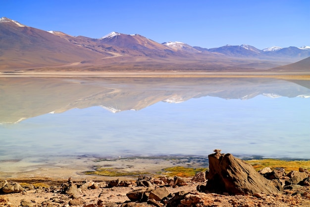 Laguna Blanca Ou Le Lac Blanc à Eduardo Avaroa Réserve Nationale De Faune Andine Potosi Bolivie