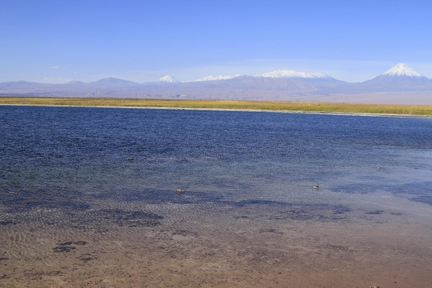 Laguna Cejar Atacama Chili