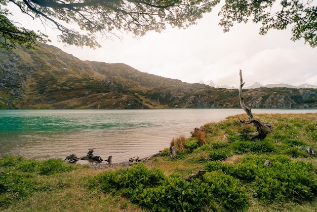 Photo laguna del caminante un lagon dans l'île d'ushuaia terre de feu patagonie argentine