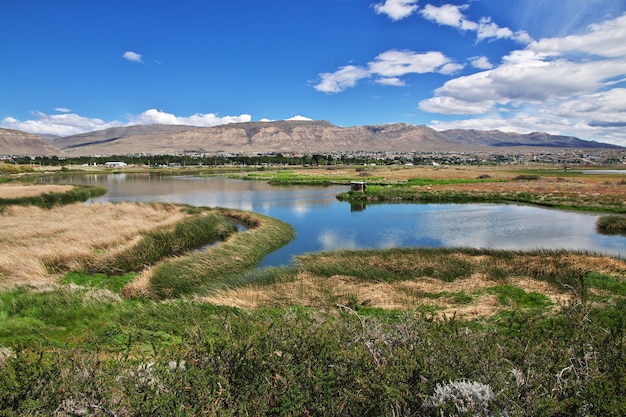 Laguna Nimez Reserva à El Calafate, Patagonie, Argentine