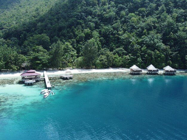 Photo lagune forestière tranquille avec des arbres verts et un front de mer serein à ora beach maluku indonésie