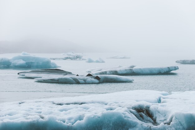 Lagune glaciaire islandaise