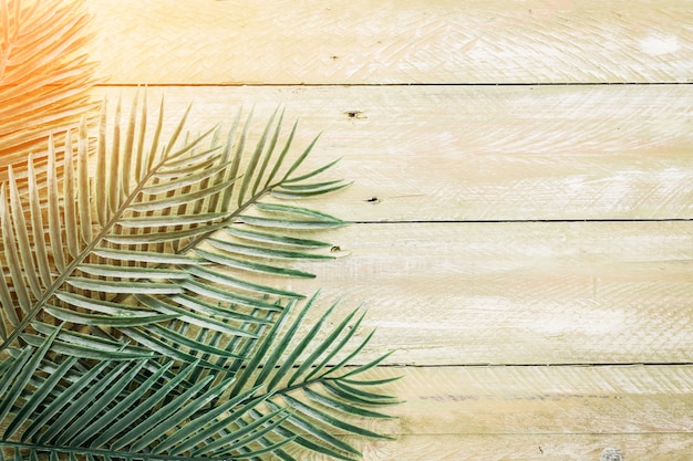 Photo laisse un arbre tropical sur le plancher en bois