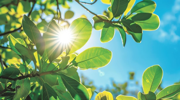 Laisse le ciel et le soleil IA générative