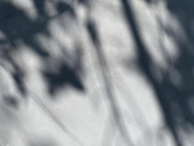 Laisse l'ombre sur le fond de mur en béton