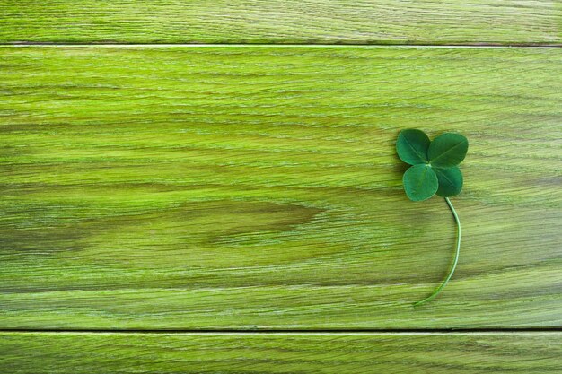 Laissez le trèfle sur fond de bois vert. Salutation heureux trèfle à quatre feuilles. Concept de chance. Symbole du jour de Patrick.