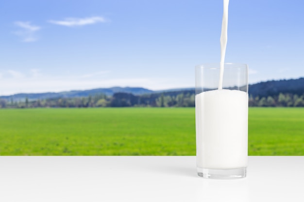 Lait au pré d'été