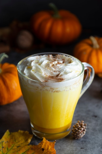 Lait d'automne au lait citrouille épicé et doré