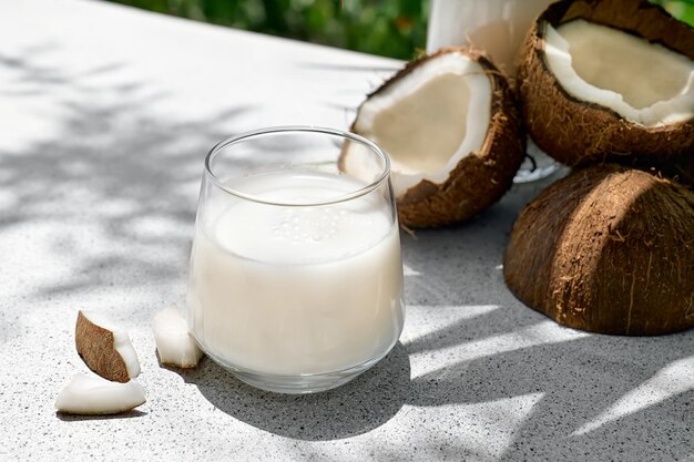 Le lait de coco dans un verre et la moitié de la noix de coco sur fond de feuille de palmier Le lait végétal sans lactose, boisson saine non laitière, nourriture végétalienne