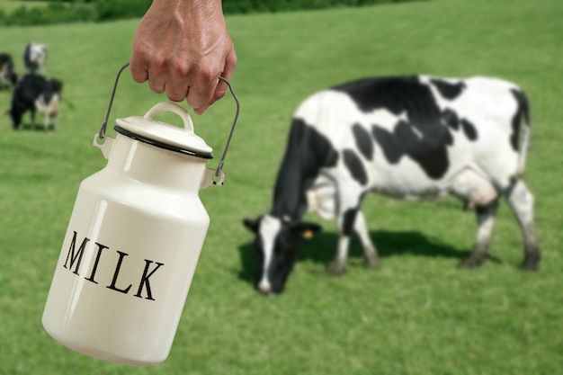 Lait pot pot à lait vache dans Prairie