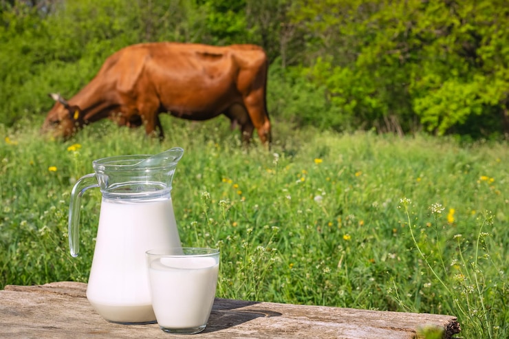 Photo lait avec vache en arrière-plan