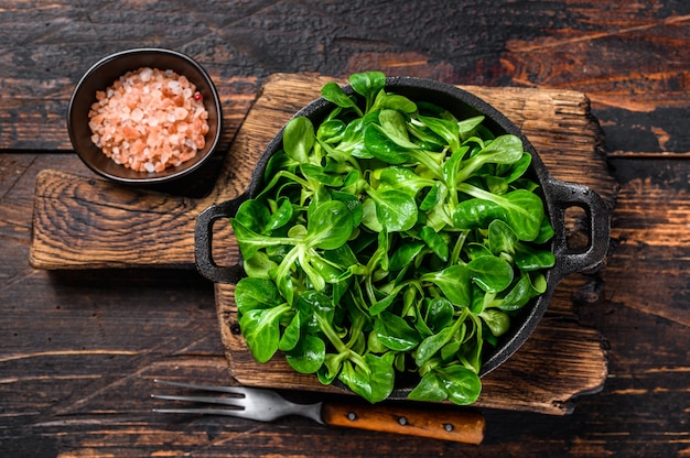 Laitue d'agneau vert cru frais Salade de maïs feuilles dans une casserole