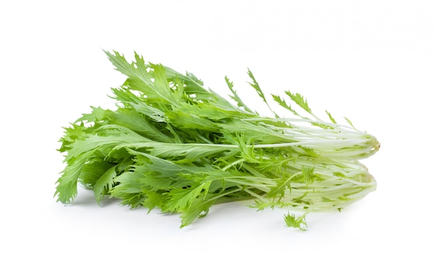 Laitue Mizuna Moutarde japonaise isolée, salade de légumes pour une bonne santé sur blanc