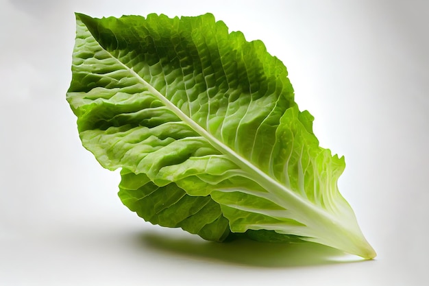 Laitue Romaine naturelle Special One Générative Ai