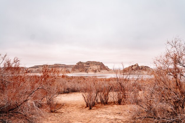 Photo lake powell en arizona usa grand canyon