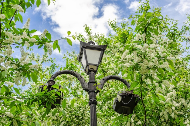 Un lampadaire avec un ciel bleu et des nuages blancs