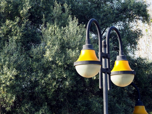 Photo lampadaire dans le parc