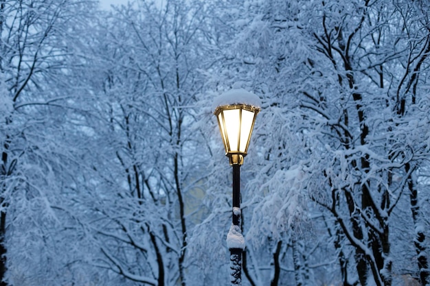 Lampadaire lumineux dans le parc en hiver Photo de haute qualité