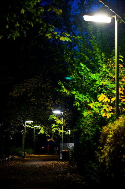 Lampadaire la nuit dans le noir Photo