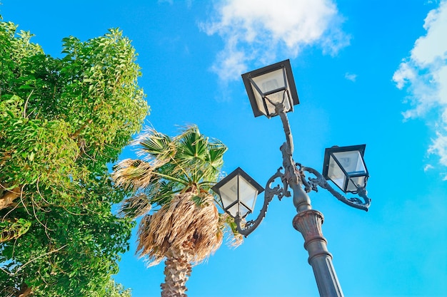 Lampadaire et palmiers à Alghero Sardaigne